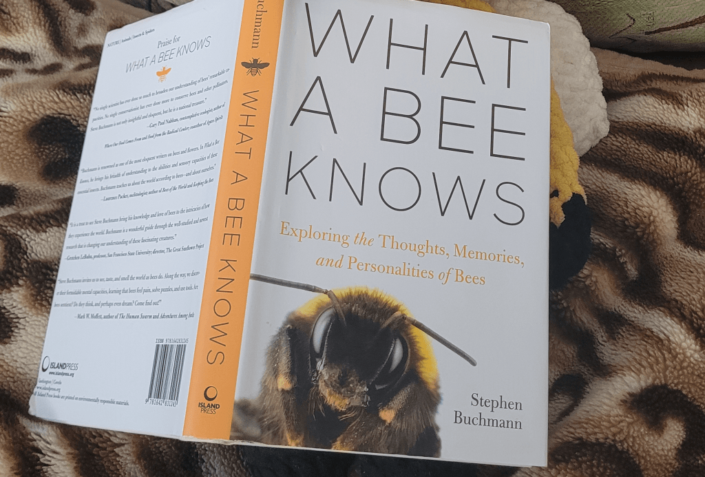 „What a bee knows” Buchmann