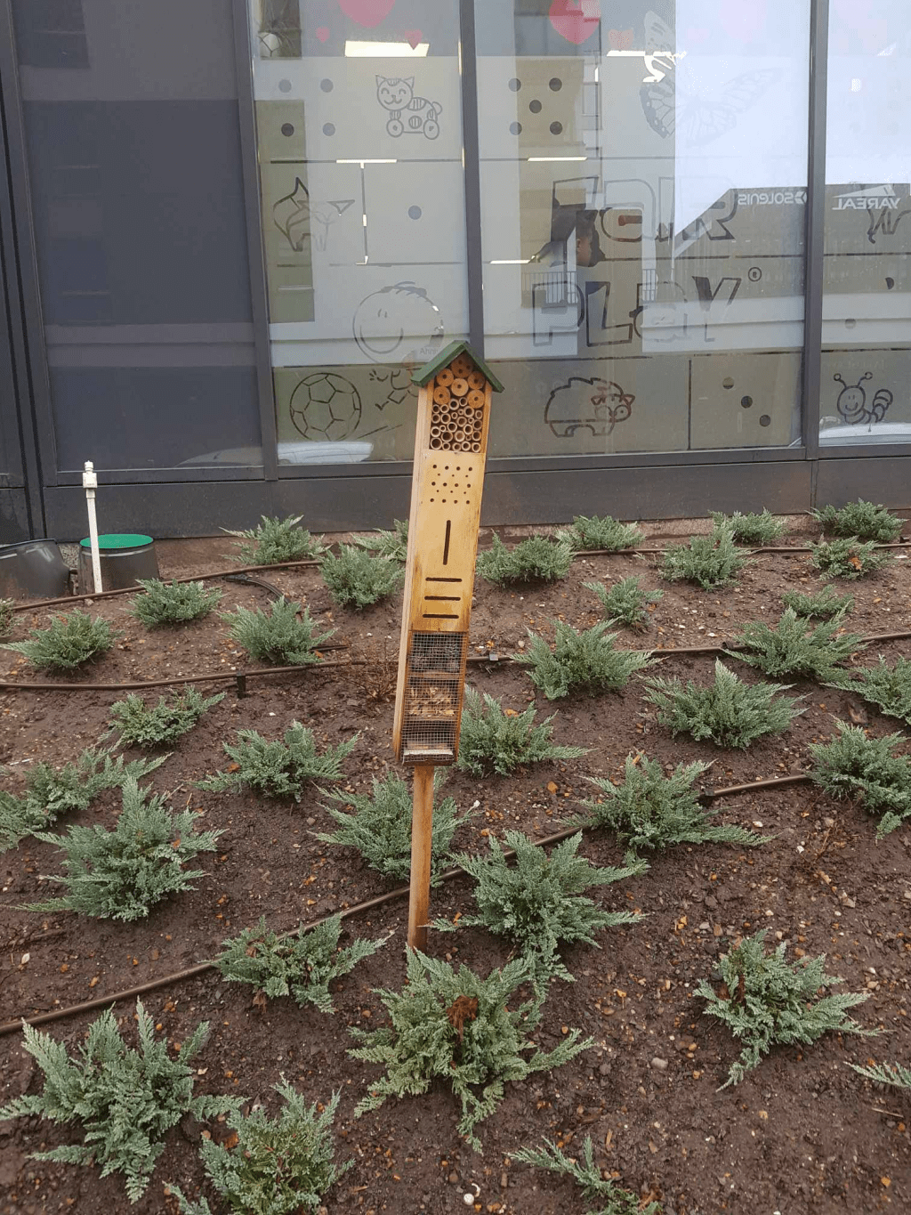 Hotele dla pszczół – jak ich NIE zakładać