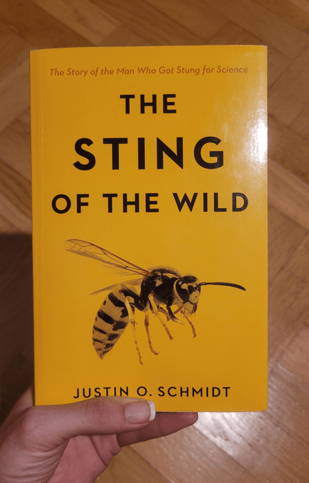 „The sting of the wild” Schmidt