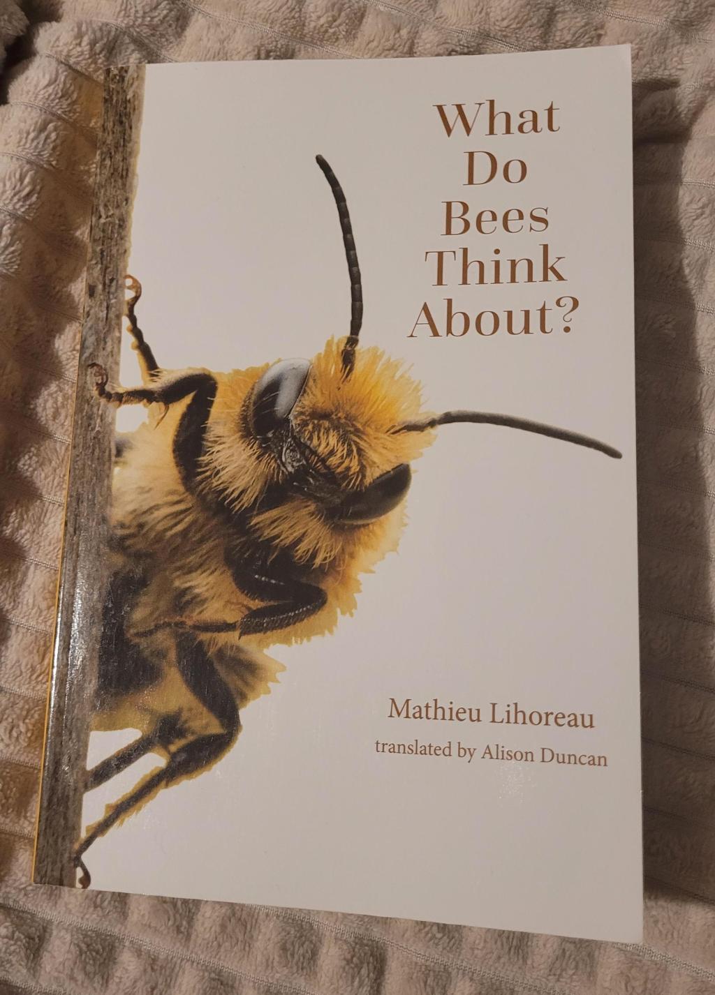 „What do bees think about” Lihoreau