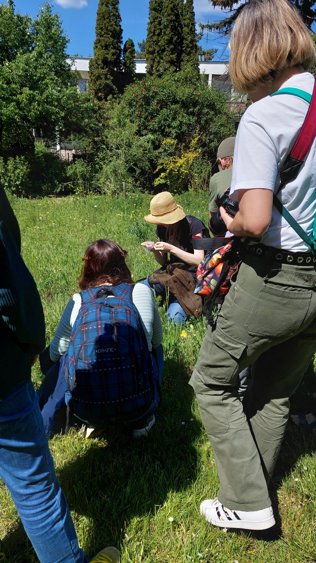 Warszawskie spacery z okazji Dnia Pszczół