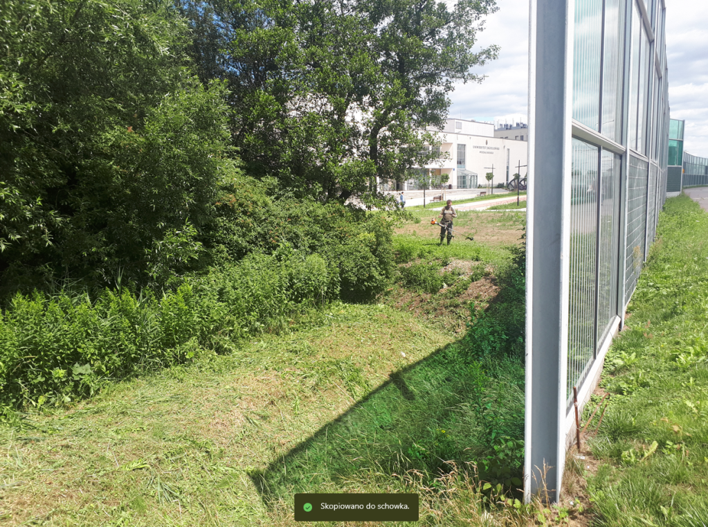 Konferencja „Miejskie ostoje bioróżnorodności”