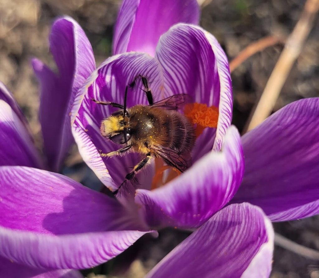Spotkanie podsumowujące projekt w Ogrodach Zamku Królewskiego w&nbsp;Warszawie
