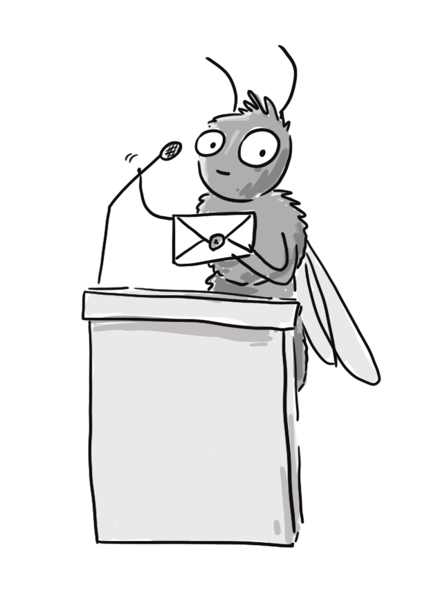 Pszczoła Roku 2026 – wyniki