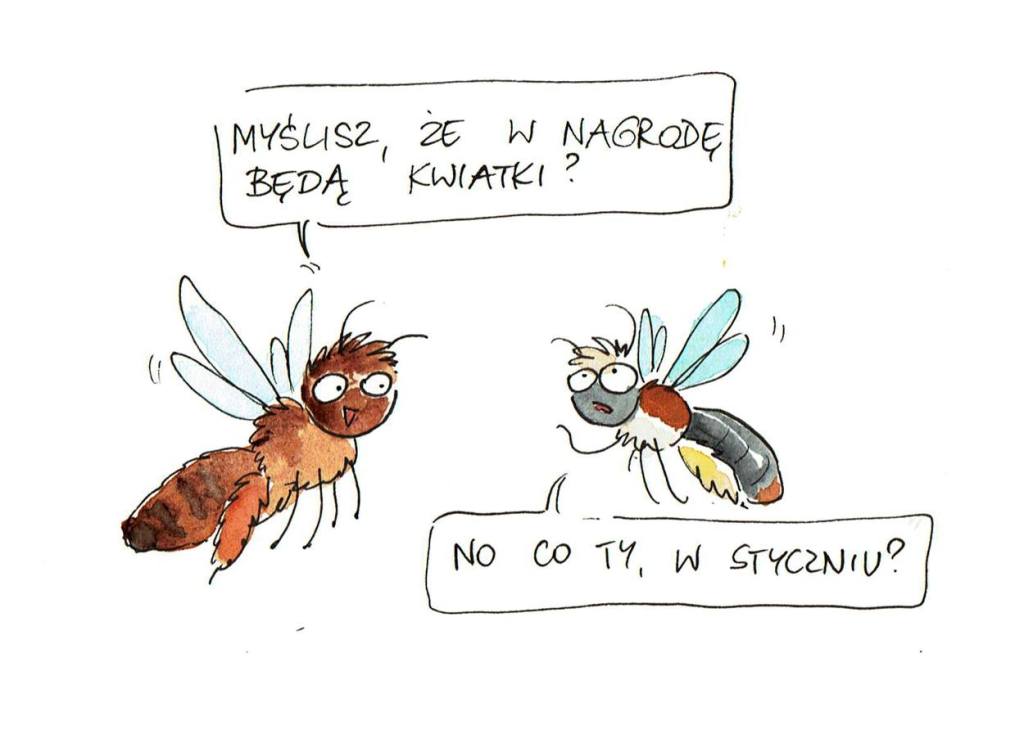 Wybory Pszczoły Roku