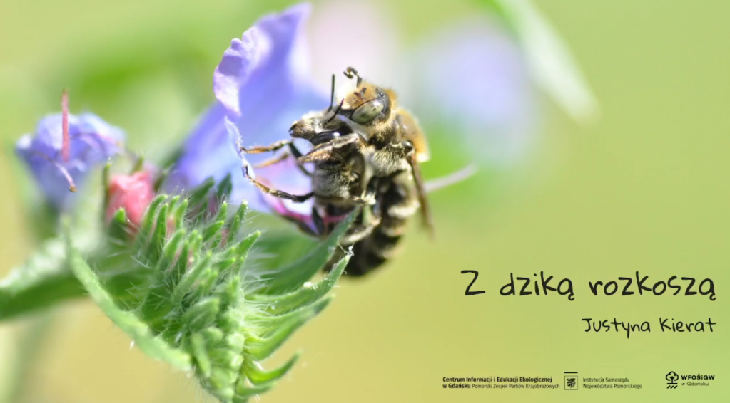 „Z dziką rozkoszą” – nagranie&nbsp;webinaru