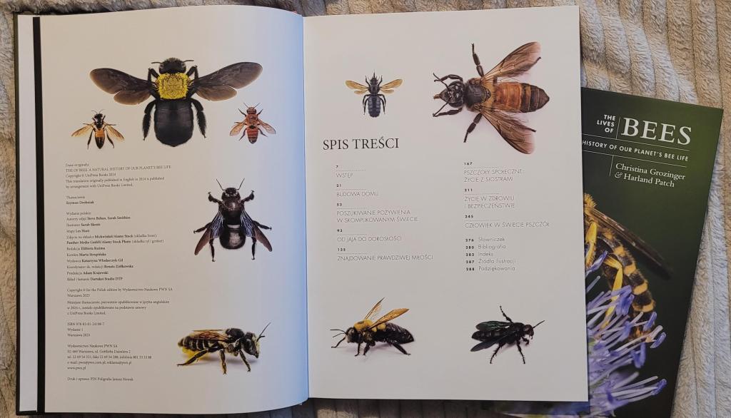 „Życie pszczół. Historia niezwykłych owadów” Grozinger i&nbsp;Patch